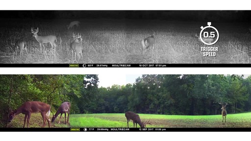 Moultrie P-120i Trail/Game Camera - image 6 from the video